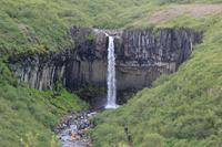 Island - Skaftafell - Svartifoss
