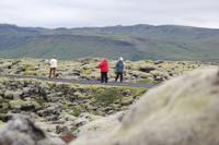 Island - Sudurland - Bemooste Lava