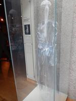 Island ist für seine extravagante Mode bekannt. Dieses Plastikkleid ist allerdings nicht wirklich alltagstauglich.