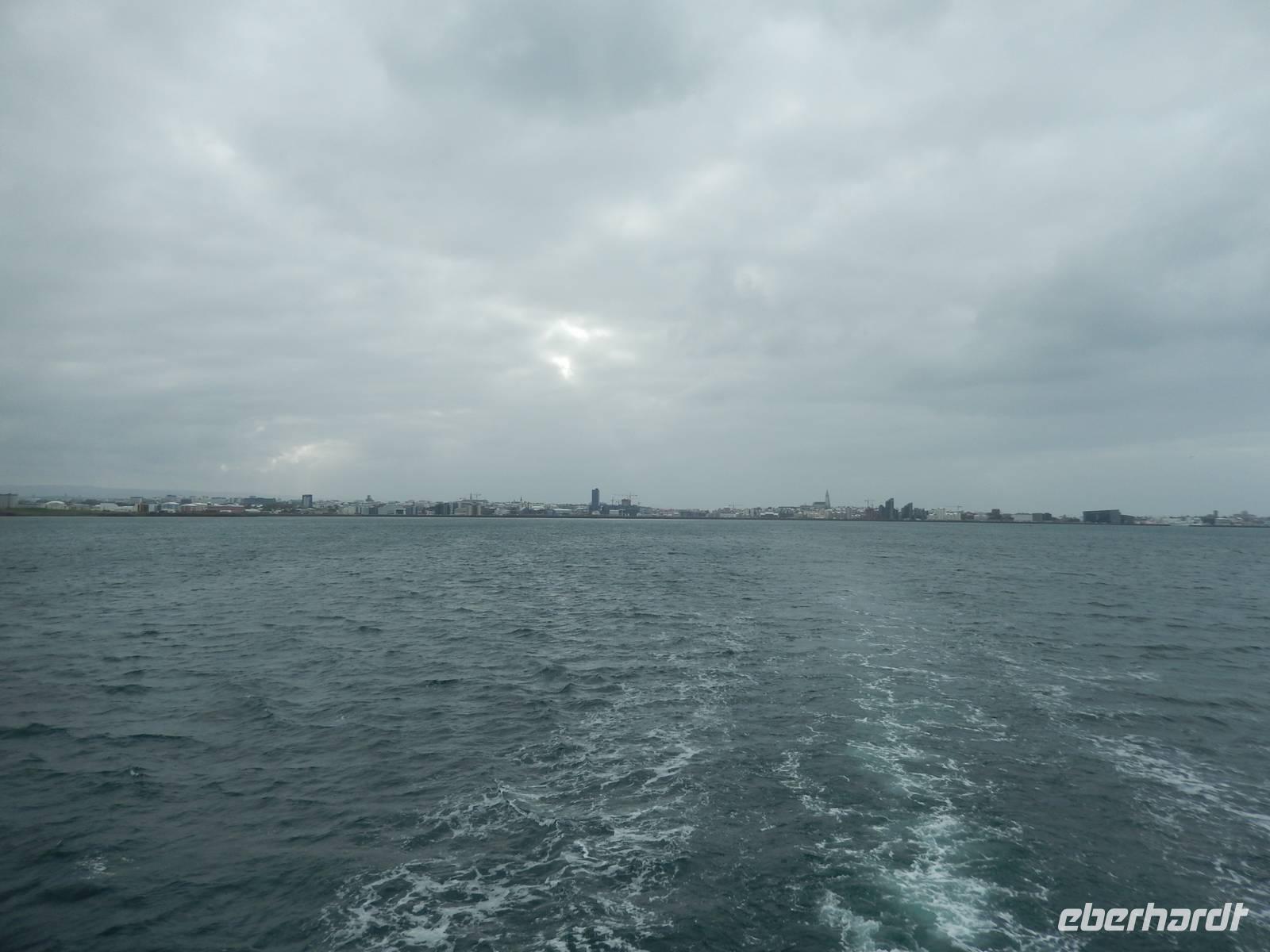 Mittags fuhren wir dann auf die See hinaus, um dort Wale zu beobachten.