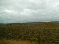 Am Dienstag fuhren wir ein Stück ins Landesinnere von Island.