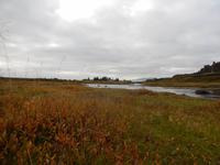 Der Fluss Öxara zieht sich quer durch den Thingvellir Nationalpark.