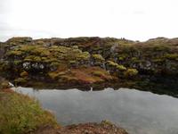 Die Erdspalten im Thingvellir sind teilweise mit glasklarem Wasser gefüllt.