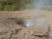 Der kleine Geysir ist eine ständig brodelnde Springquelle.