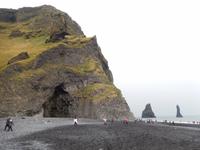 Der Reynisfjall ist besonders für Ornithologen ein Paradies.