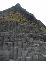 Das Gras oben auf den Basaltsäulen ist ein idealer Nistplatz für die heimischen Vogelarten.