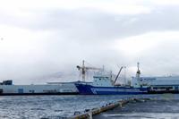 Reykjavik Hafen