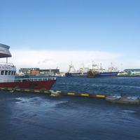 Reykjavik Hafen