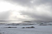 Auf der Fahrt zum Thingvellir Nationalpark