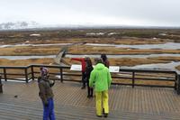 Thingvellir Nationalpark