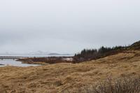 Thingvellir Nationalpark