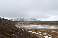 Thingvellir Nationalpark