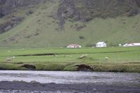 Am Skógafoss