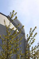 Hallgrimskirkja