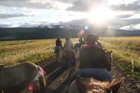 Island - Reiten