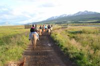 Island - Reiten