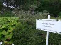Island, Akureyri, Botanischer Garten