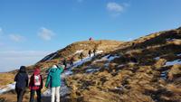 Island, Stykkisholmur, Wanderung zum Leuchtturm
