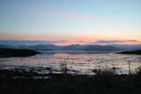 Island- Höfn