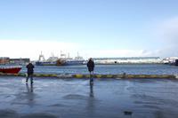 Reykjavik Hafen