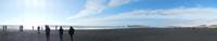 Schwarzer Strand bei Vik