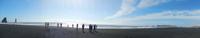 Schwarzer Strand bei Vik