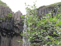 Svartifoss