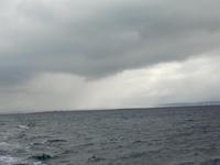Whale Watching