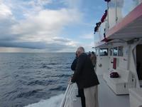 Whale Watching