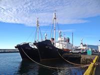 am Hafen