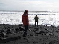 am Strand von Vik