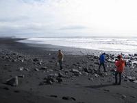 am Strand von Vik