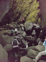 bemooste Felsen