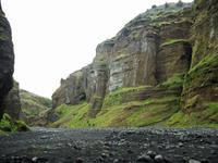 bemooste Felsen