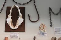 im Skogar-Museum