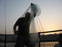 Netzauswurf zum fischen - See Genezareth