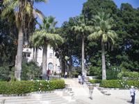 auf dem Berg der Seligpreisung