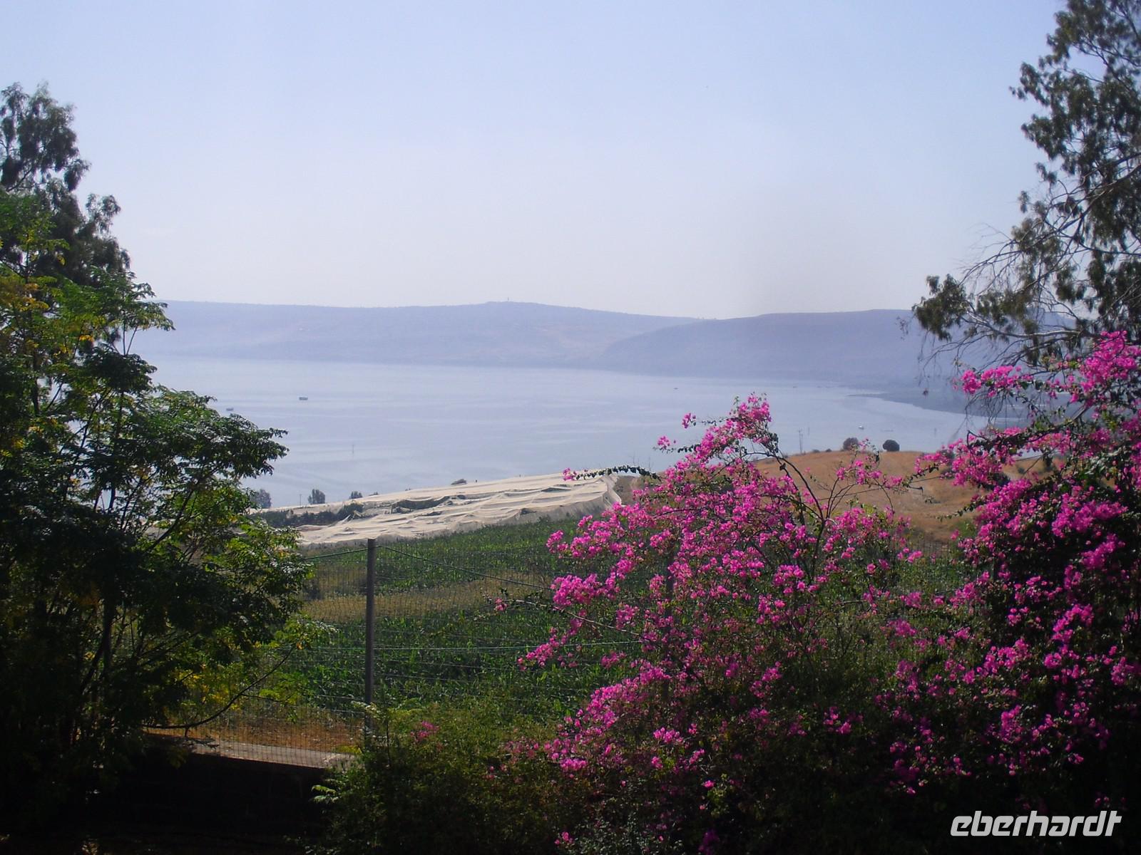 Blick vom Berg der Seligpreisung auf den See Genezareth