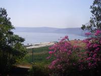 Blick vom Berg der Seligpreisung auf den See Genezareth