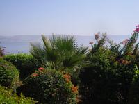 Blick vom Berg der Seligpreisung auf den See Genezareth