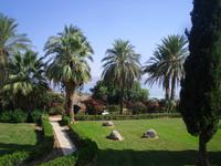 Blick vom Berg der Seligpreisung auf den See Genezareth