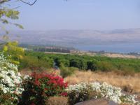 Blick vom Berg der Seligpreisung auf den See Genezareth