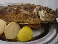 Mittagessen im Fischrestaurant KFAR NAHUM Kapernaum (St. Petersfisch)