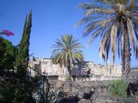 Kapernaum - Synagoge