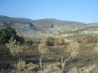 Fahrt über die Golanhöhen