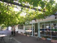 Ölmühle bei Avtalyon