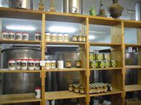 Ölmühle bei Avtalyon