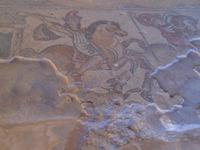 Mosaiken in Zippori (kämpfende Amazonin)