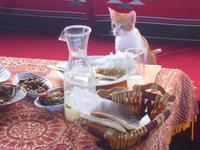 Beduinen-Mittagessen in Ein Bokek  (Restaurant Taj Mahal)