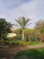 Rundgang im Kibbuz Kalia